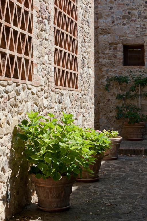 Agriturismo Cignan Rosso Villa Castellina in Chianti Luaran gambar